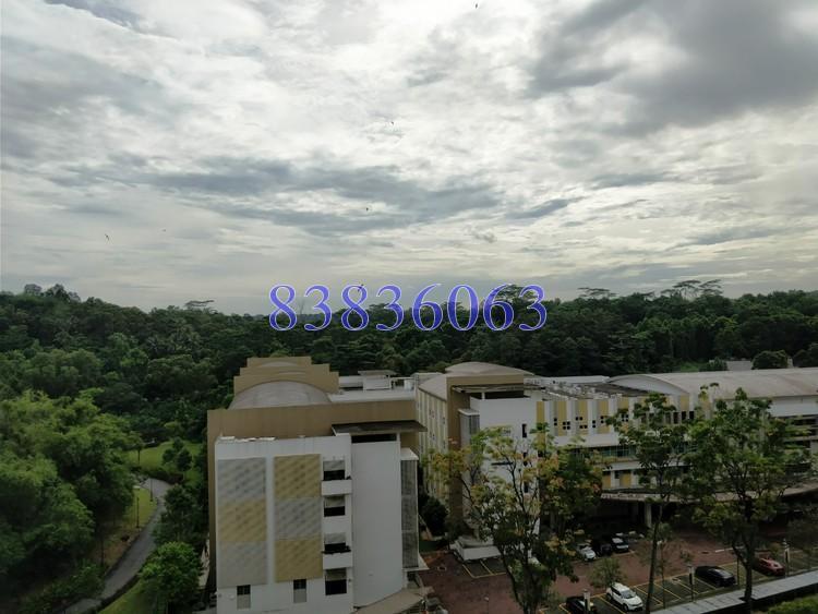 Blk 450 Bukit Panjang Ring Road (Bukit Panjang), HDB 5 Rooms #163615032